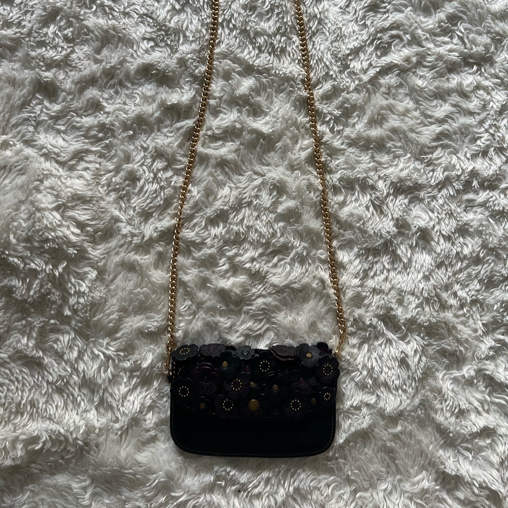 Coach crossbody/wristlet bag